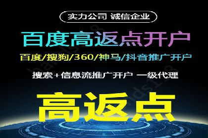 百度竞价排名案例分享：广告投放的技巧与误区
